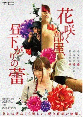 韩剧汉江以南海报